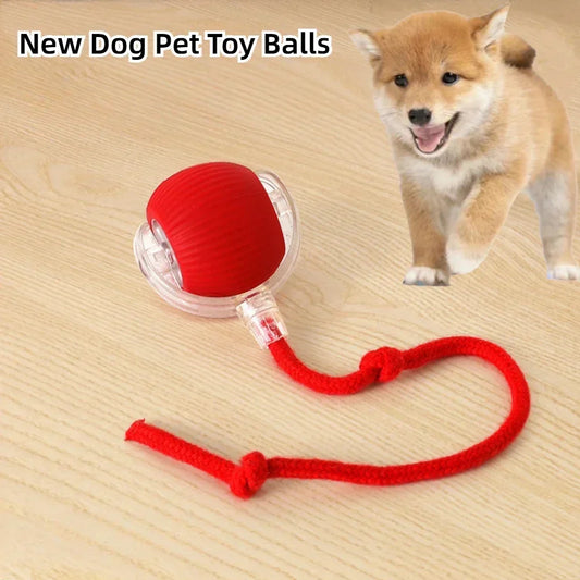 Rolling Pet Play Ball