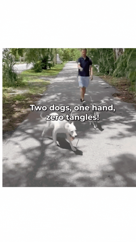 Glow Paw Dual Dog Leash