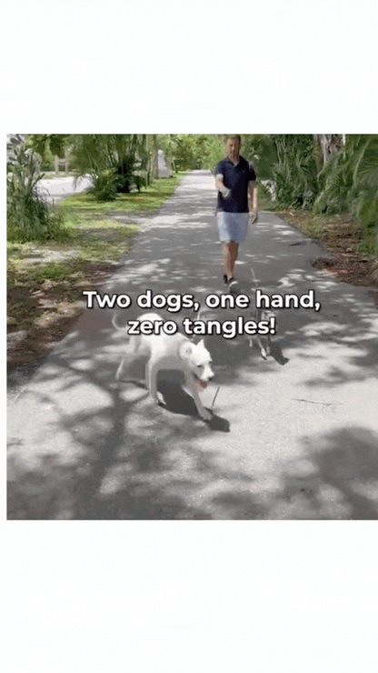 Glow Paw Dual Dog Leash