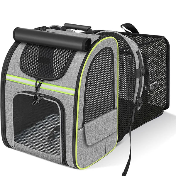Cozy Cat Adventure Backpack