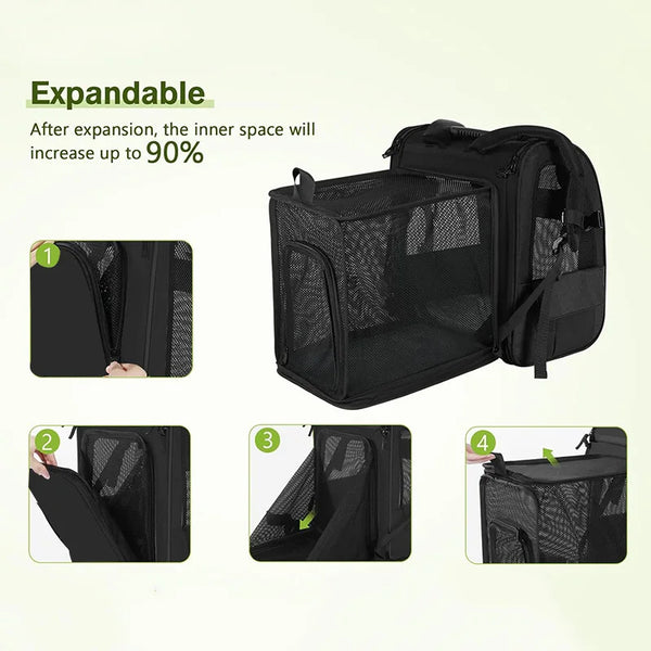 Cozy Cat Adventure Backpack